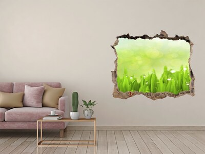 Hole wall sticker Grass