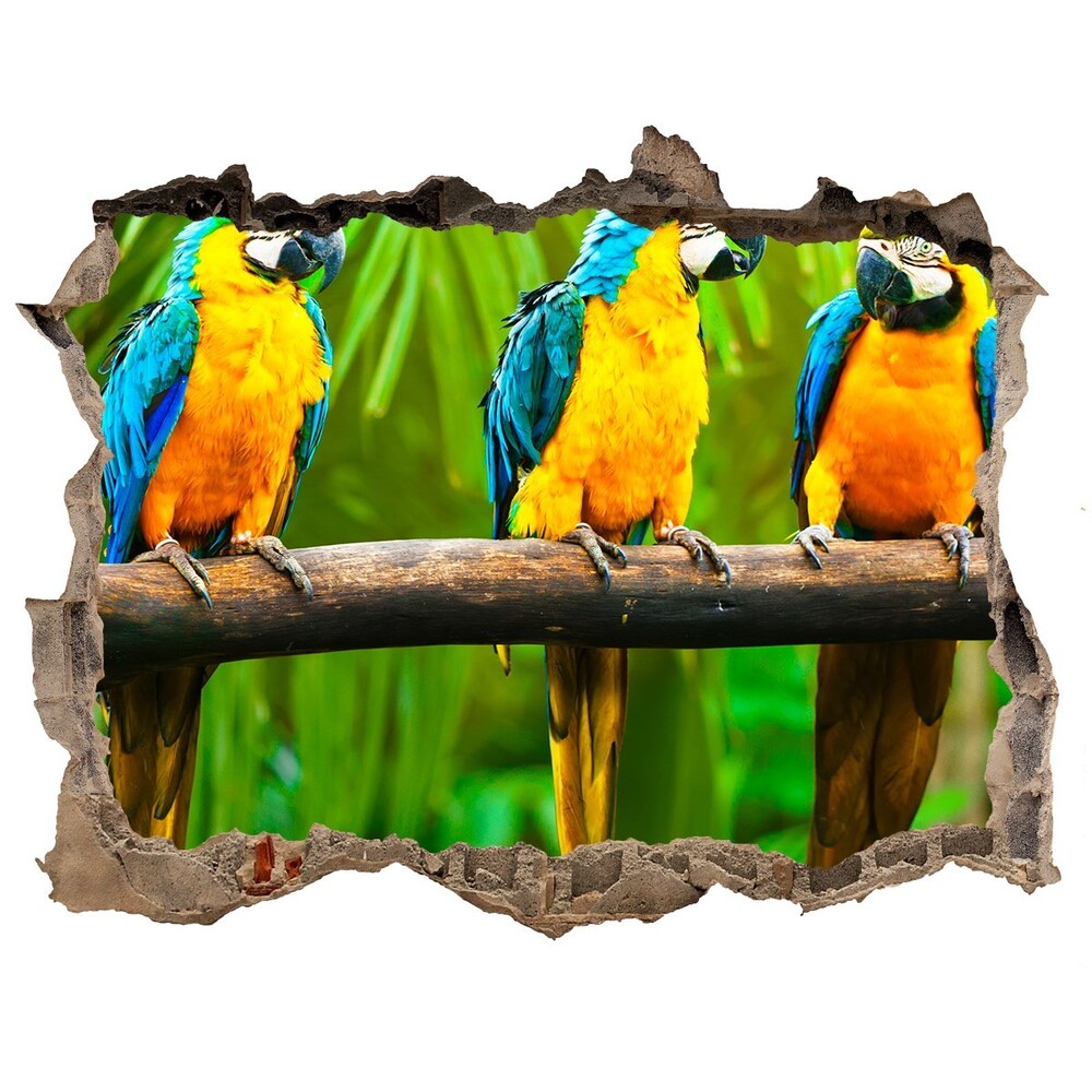 Hole wall sticker Parrots on a branch