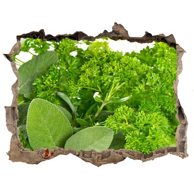 3D wall hole A green oasis in concrete