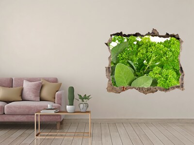 3D wall hole Herbs