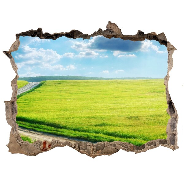 Hole wall sticker Green meadow with sky
