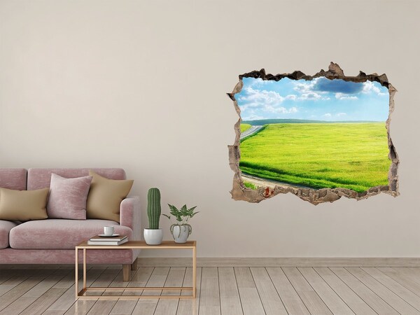 Hole wall sticker Green meadow with sky
