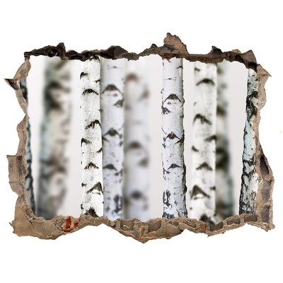 Hole wall sticker Birch trunks