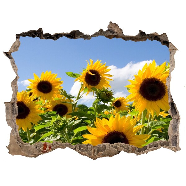 3D wall hole wallpaper Sunflowers in the daylight