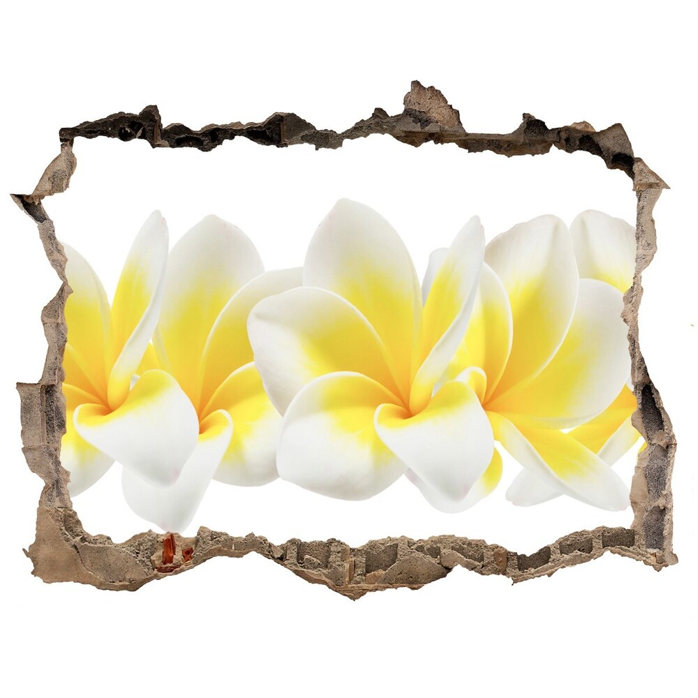 Hole in the wall sticker Plumeria