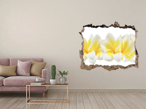 Hole in the wall sticker Plumeria