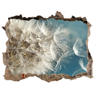 Hole in the wall sticker Dandelions against the sky