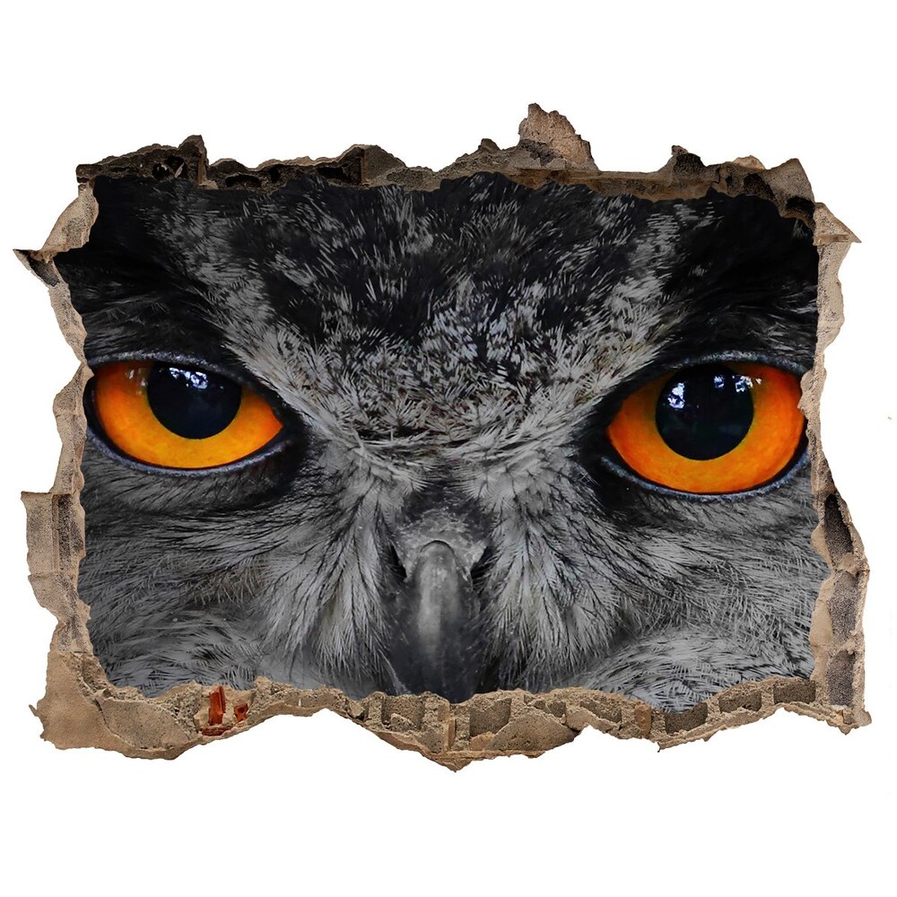 Hole wall sticker Owl devilish eyes