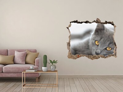 Hole in the wall decal Gray cat in a hole in the wall