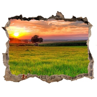 Hole in the wall decal Sunset over the meadow