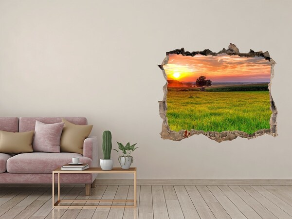 Hole in the wall decal Sunset over the meadow