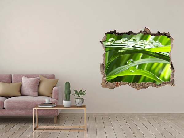 Hole in the wall decal Green meadow with drops of water