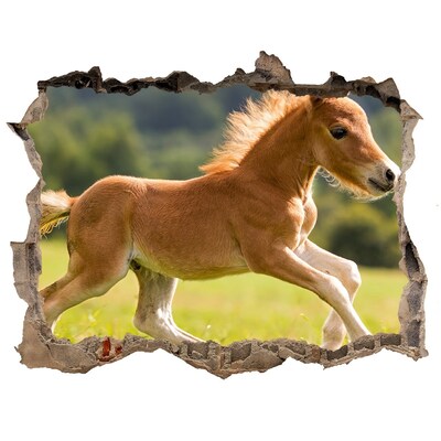 Hole in the wall decal A foal in the meadow