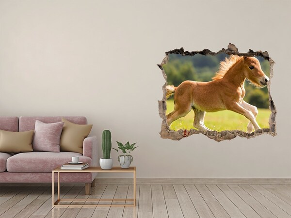 Hole in the wall decal A foal in the meadow