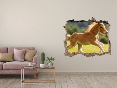 Hole in the wall decal A foal in the meadow