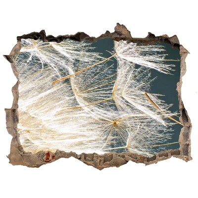 Hole in the wall sticker A floral landscape behind the hole