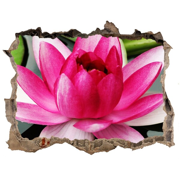 Hole in the wall decal Lotus flower in a hole in the wall