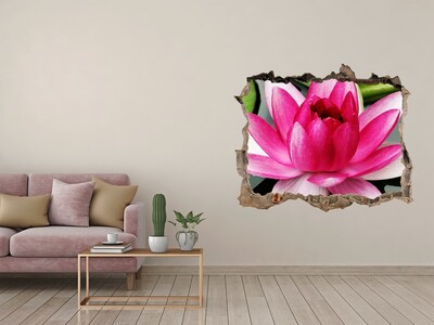 Hole in the wall decal water lily