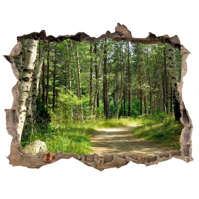 Hole in the wall decal Path in the forest