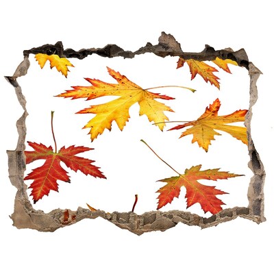 Hole in the wall decal Autumn scenery with leaves