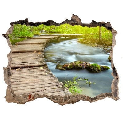 3D wall hole Path over the river