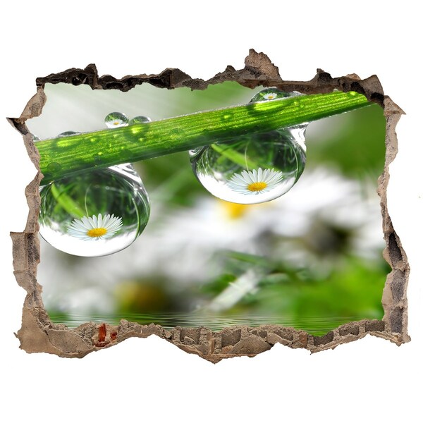 3D wall hole Floral oasis with water drops