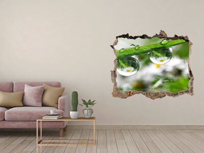 3D wall hole Floral oasis with water drops
