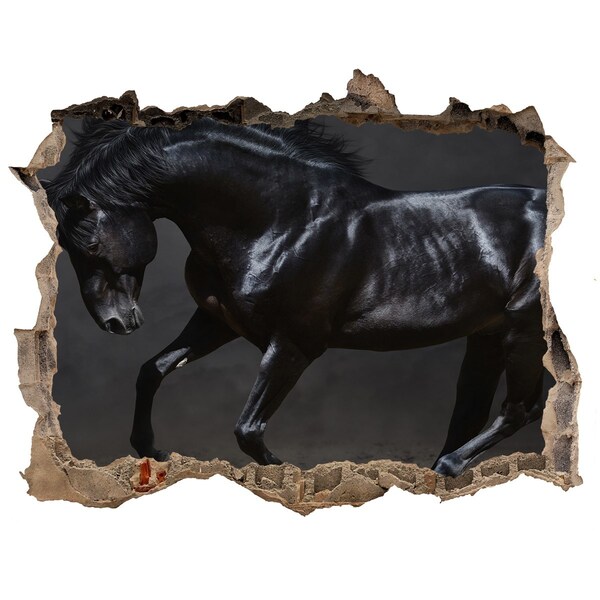 Hole wall sticker A dark horse in motion
