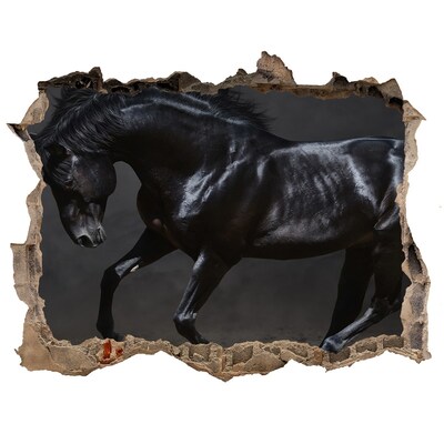 Hole wall sticker A dark horse in motion
