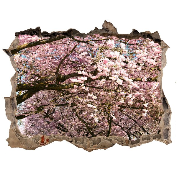3D wall hole Blossoming cherry trees in the spring park