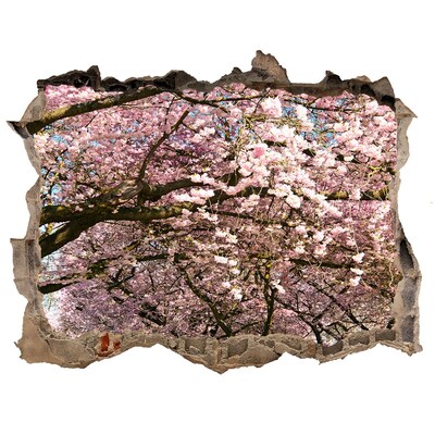 3D wall hole Blossoming cherry trees in the spring park