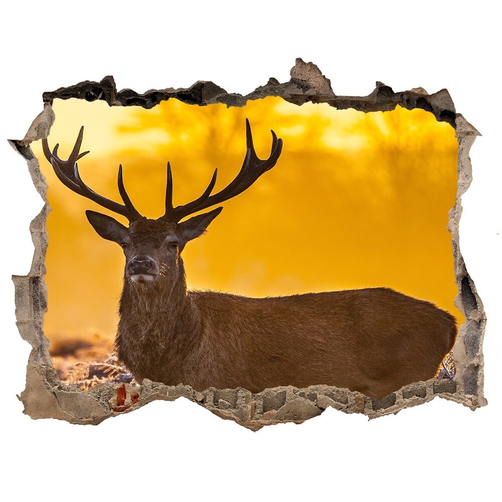 3D wall hole wallpaper Deer sunrise