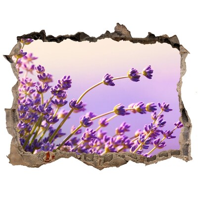 Hole in the wall sticker Lavender flowers in the morning light