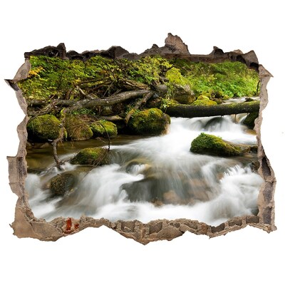 3D wall hole wallpaper Green stream in the forest