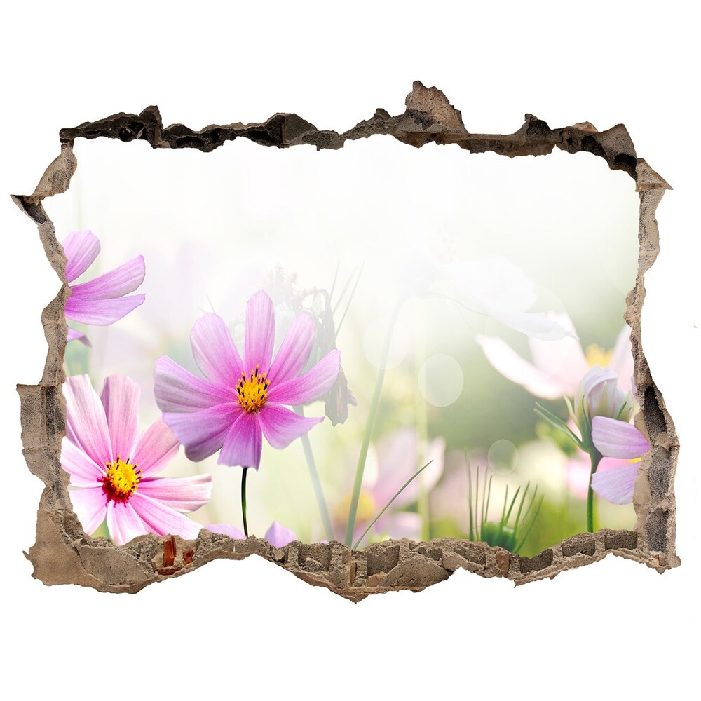 Hole wall sticker Flowers in the meadow