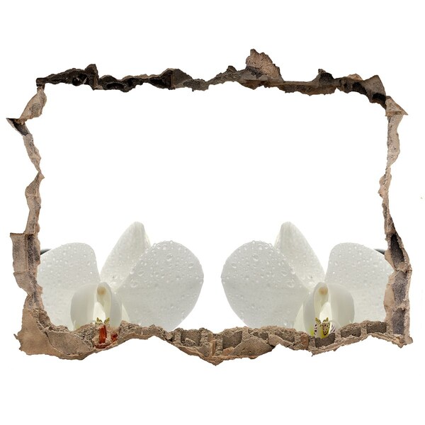 Hole in the wall decal Flowers in concrete