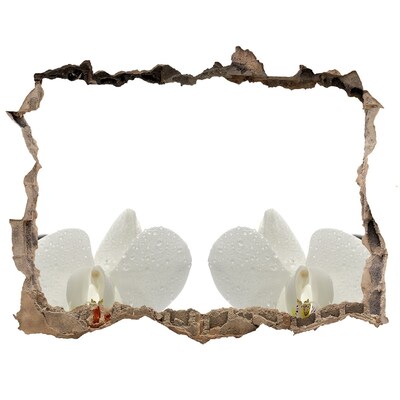 Hole in the wall decal Flowers in concrete