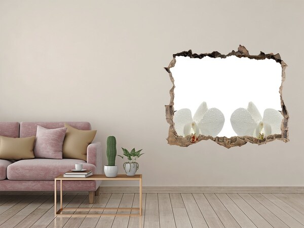 Hole in the wall decal Flowers in concrete