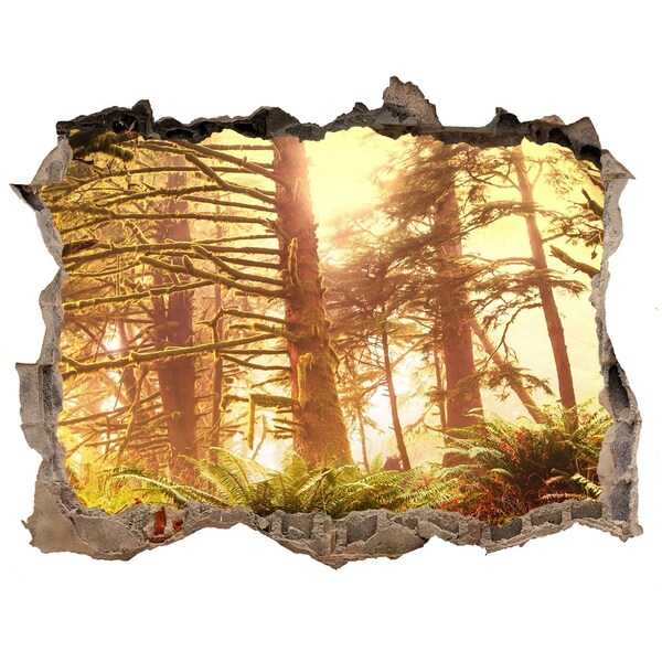 Hole in the wall decal A forest oasis in the sunshine
