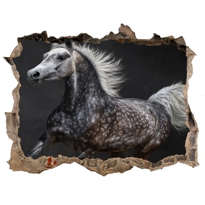 Hole in the wall sticker Gray Arabian horse