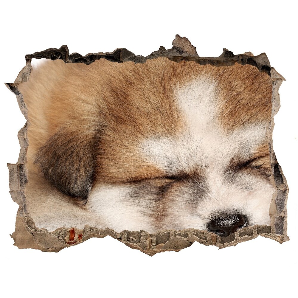 Hole in the wall sticker Akita puppy