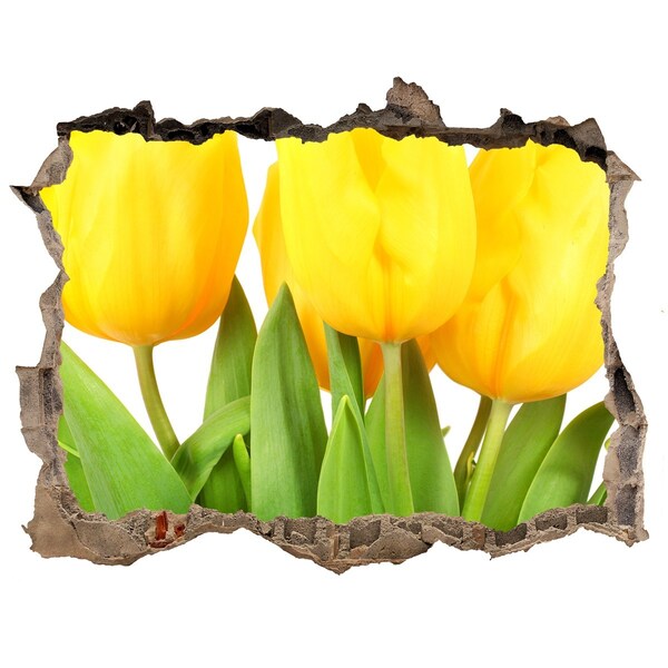 Hole in the wall decal Tulip flowers in a hole in the wall