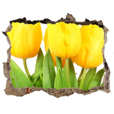 Hole in the wall decal Yellow tulips