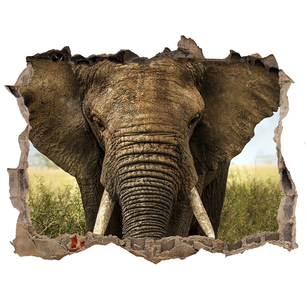 Hole wall sticker Elephant in the savanna