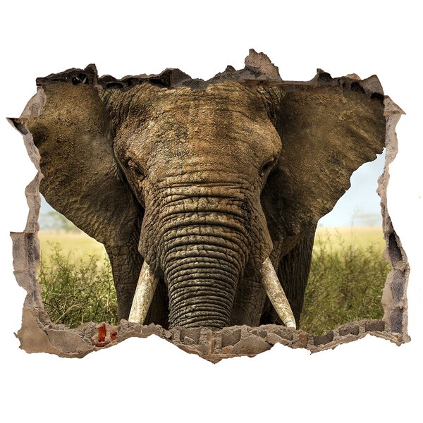 Hole wall sticker Elephants in their natural habitat