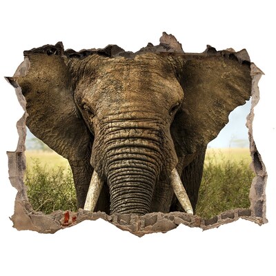 Hole wall sticker Elephants in their natural habitat