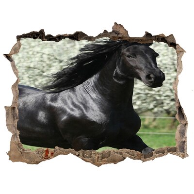 3D wall hole Black horse flowers