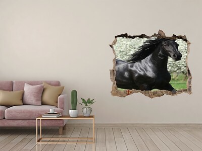 3D wall hole Black horse flowers