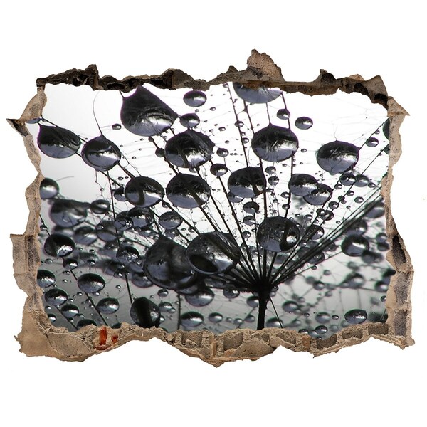 Hole wall sticker Dandelion seeds