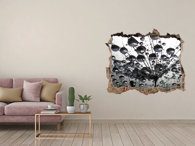 Hole wall sticker Dandelion seeds